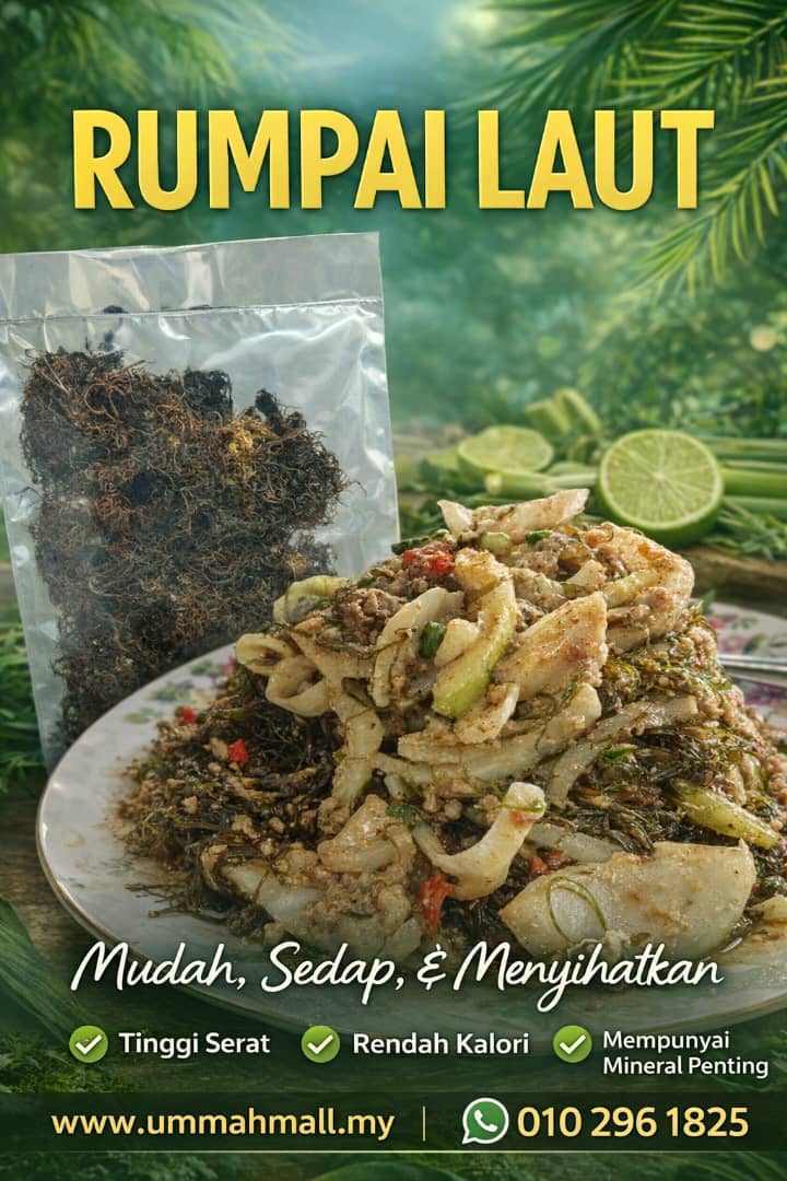 Rumpai Laut Merah Glacilaria